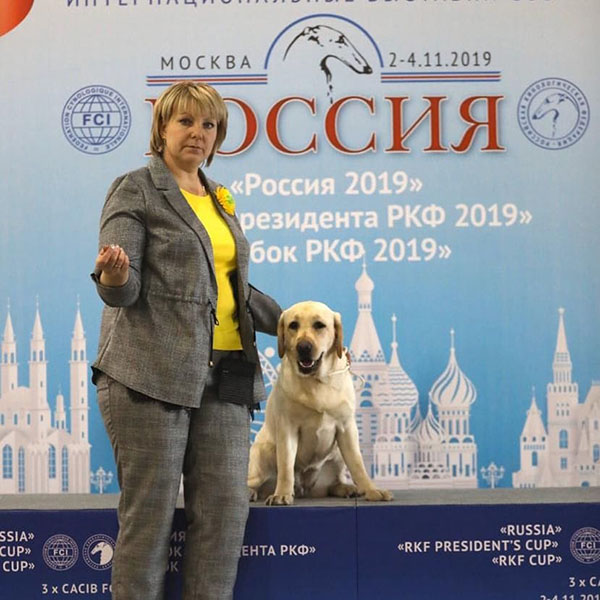4 ноября 2019г.  Москва
